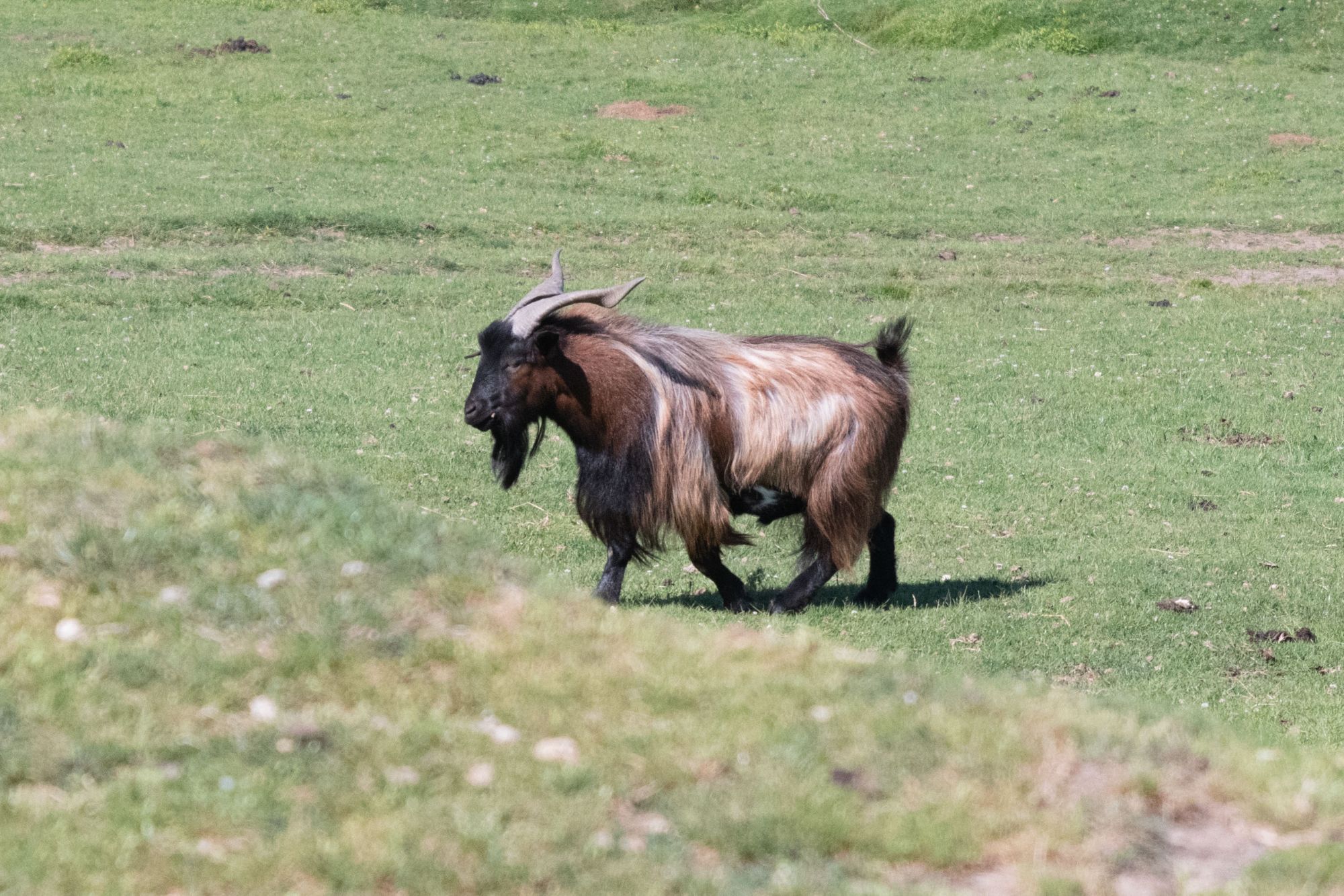 DSC 3645 14